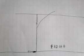 钓鱼调漂技巧演示（掌握调漂技巧，提高钓鱼成功率）