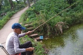 以竹竿挂蚯蚓钓鱼的技巧（掌握钓鱼技巧）