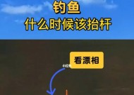 江苏地区入秋钓鱼技巧（钓鱼新手必备）