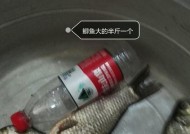 水库野钓鲤鱼的技巧与方法（提高钓鲤鱼成功率的实用技巧与经验分享）