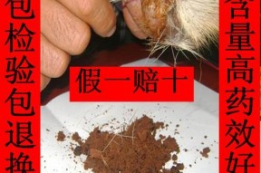 冬天麝香粉钓鱼技巧（冬季如何利用麝香粉钓鱼更加得心应手）