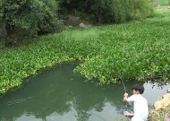 河边活水钓鱼技巧（探秘河边活水中的高级钓鱼技巧）