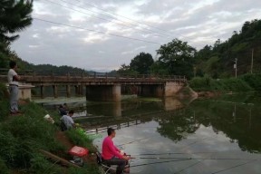 秋季小河流水钓鱼技巧（探秘河流鱼群迁徙规律）