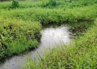 雨天钓鱼技巧与注意事项（提高成功率的五要五不要）