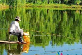 夏季钓鱼野钓技巧（享受夏日的放松钓鱼时光）