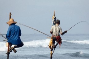 掌握钓鱼技巧，轻松钓获满满收获（钓鱼口诀教学，大有窍门可循）