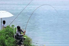 河沟水渠野钓的技巧要点（掌握好水质、饵料和技巧）