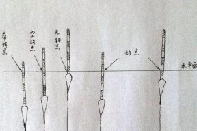 秋分前后的野钓鲫鱼调漂技巧（把握时机采用正确的钓法增加钓鱼成功率）