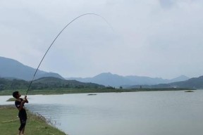 以冷水型水库钓鱼技巧（掌握冷水型水库钓鱼技巧的关键要素）