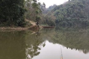 水库野钓钓位技巧教程（揭秘水库野钓绝技）