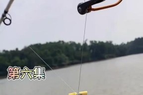 河沟水渠钓鱼技巧与方法（提升钓鱼成功率的实用技巧和策略）