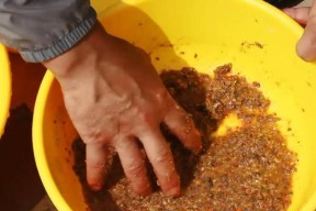 野钓拉饵技巧教学（掌握野钓拉饵的技巧）