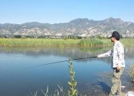 夏天抛竿钓鲤鱼的正确调漂方法与技巧（夏季钓鲤鱼）