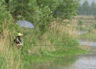 夏天天气阴凉下的钓鱼技巧和方法（享受清凉夏日）