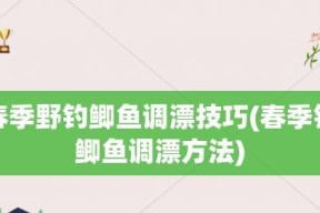 秋后钓鱼调漂技巧（打造高效的秋后钓鱼调漂技巧）