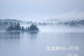 武湖长河钓鱼技巧（探秘武湖长河最佳钓鱼技巧）