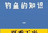 玉米粒钓鱼的使用方法与技巧（玉米粒钓鱼的钓点选择与应用技巧）