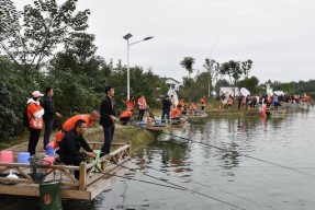 闷竿双铅钓鱼抛竿技巧（掌握这一技巧）