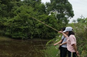 钓鱼新手指南（学会钓鱼的基本技巧与教学）