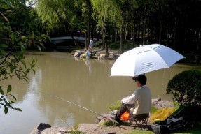 夏日钓鱼技巧—钓鲤鱼攻略（适合夏季的鲤鱼钓鱼技巧及经验分享）