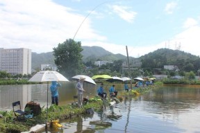 海上钓鱼的技巧和投放方法（提升你的海钓技能）