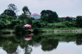 夏季钓鱼黑坑技巧（掌握夏季黑坑钓鱼的秘密）