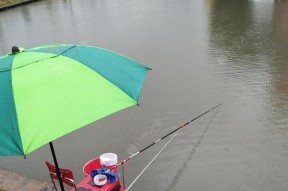 雨后夜钓鱼的技巧与经验（探秘有效的雨后夜钓鱼策略）