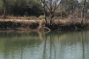 立春流水钓鱼技巧（迎接春天的娱乐方式——立春流水钓鱼）