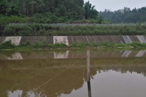 溪河流水钓鱼技巧（掌握技巧）