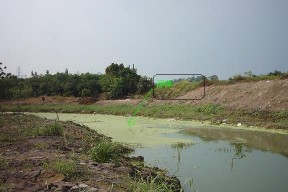 浮萍钓鱼技巧（探秘门口浮萍钓鱼的技巧与乐趣）