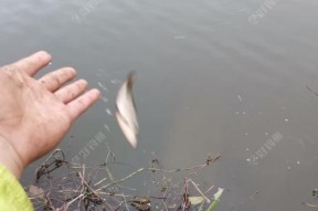 雨天海边钓鱼秘籍（探秘钓鱼乐趣与技巧）