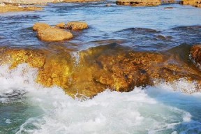 黄河流水钓鱼鱼饵技巧（探秘的钓鱼技巧与鱼饵选择）