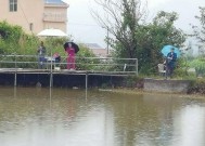 雨天池塘钓鱼的三个小技巧（掌握这三招）