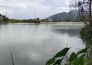 雨天河里野钓技巧（掌握这些技巧）