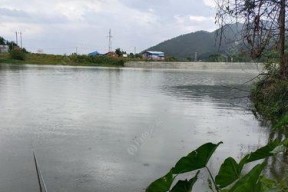 雨天河里野钓技巧（掌握这些技巧）