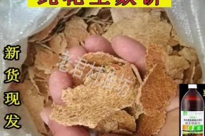 花生麸钓鱼技巧（掌握花生麸钓鱼的秘诀）