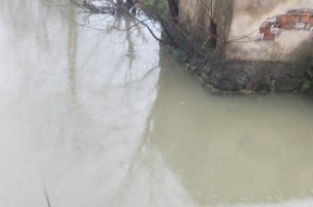 雨塘子钓鱼技巧大揭秘（如何在雨塘子中成功钓鱼）