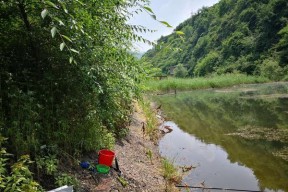 江苏冬季黄河钓鱼技巧（掌握黄河冬季钓鱼的技巧）