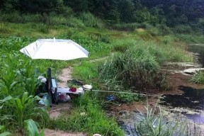 夏天钓鱼的技巧与细节（掌握关键技巧）