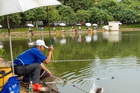 夏季钓鱼技巧揭秘（掌握关键技巧吸引鱼群轻松上钩）