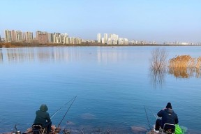 春天自然水域钓鱼技巧（享受春日钓鱼乐趣，掌握自然水域技巧）