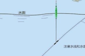 钓鱼调漂方式与技巧（掌握钓鱼技巧提高钓鱼效果）