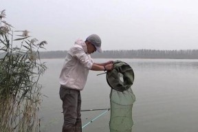 寒冬钓鱼的技巧和方法（冰天雪地也能垂钓）