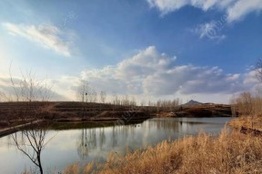 包头水库钓鱼技巧（掌握包头水库钓鱼技巧，享受愉悦垂钓时光）