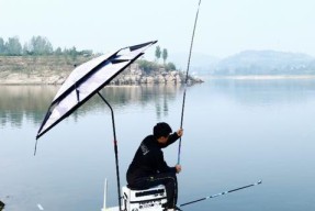 夏天气压低的钓鱼技巧（挑战夏日低气压）