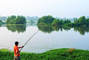 野钓浅滩打窝的技巧与方法（探秘成功的关键）