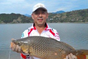 水库野钓鲤鱼的最佳方法和技巧（钓鲤鱼的高效技巧）