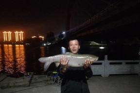 高温夜钓技巧（夏日高温下提高夜钓成功率的实用技巧）