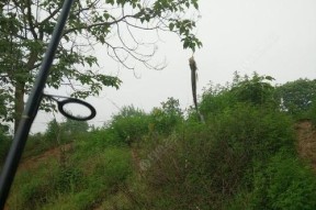 雨天钓鱼的选择技巧（下雨天怎么选钓点）