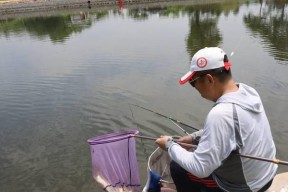 夏季钓鱼上钩技巧教学（夏季钓鱼实用技巧及装备选购指南）